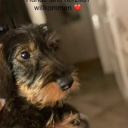 Apartamento Exclusives Im Herzen Von *