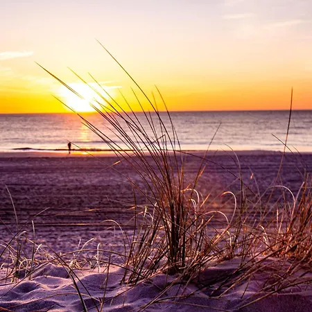 Apartment Exclusives Im Herzen Von Auf Sylt